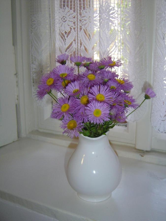 Tornacos Vendeghaz Apartment Егер Екстериор снимка